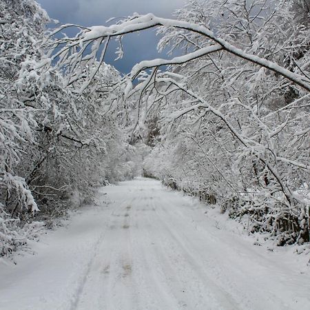 Cabana Laica, Romania Petrila Luaran gambar