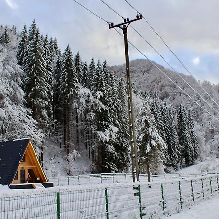 Cabana Laica, Romania Petrila Luaran gambar