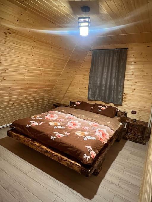 Cabana Laica, Romania Petrila Luaran gambar