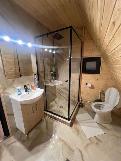 Cabana Laica, Romania Petrila Luaran gambar