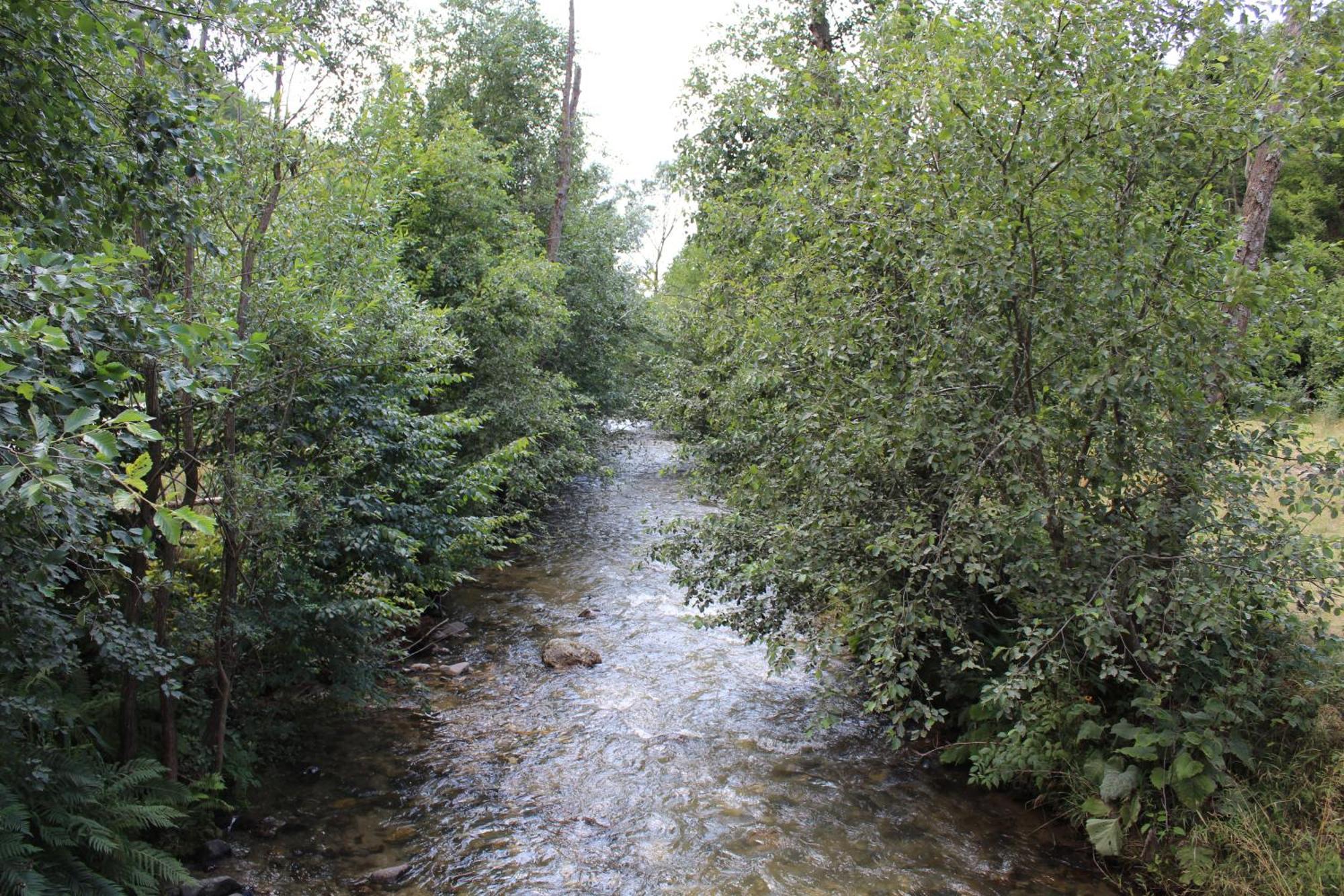 Cabana Laica, Romania Petrila Luaran gambar
