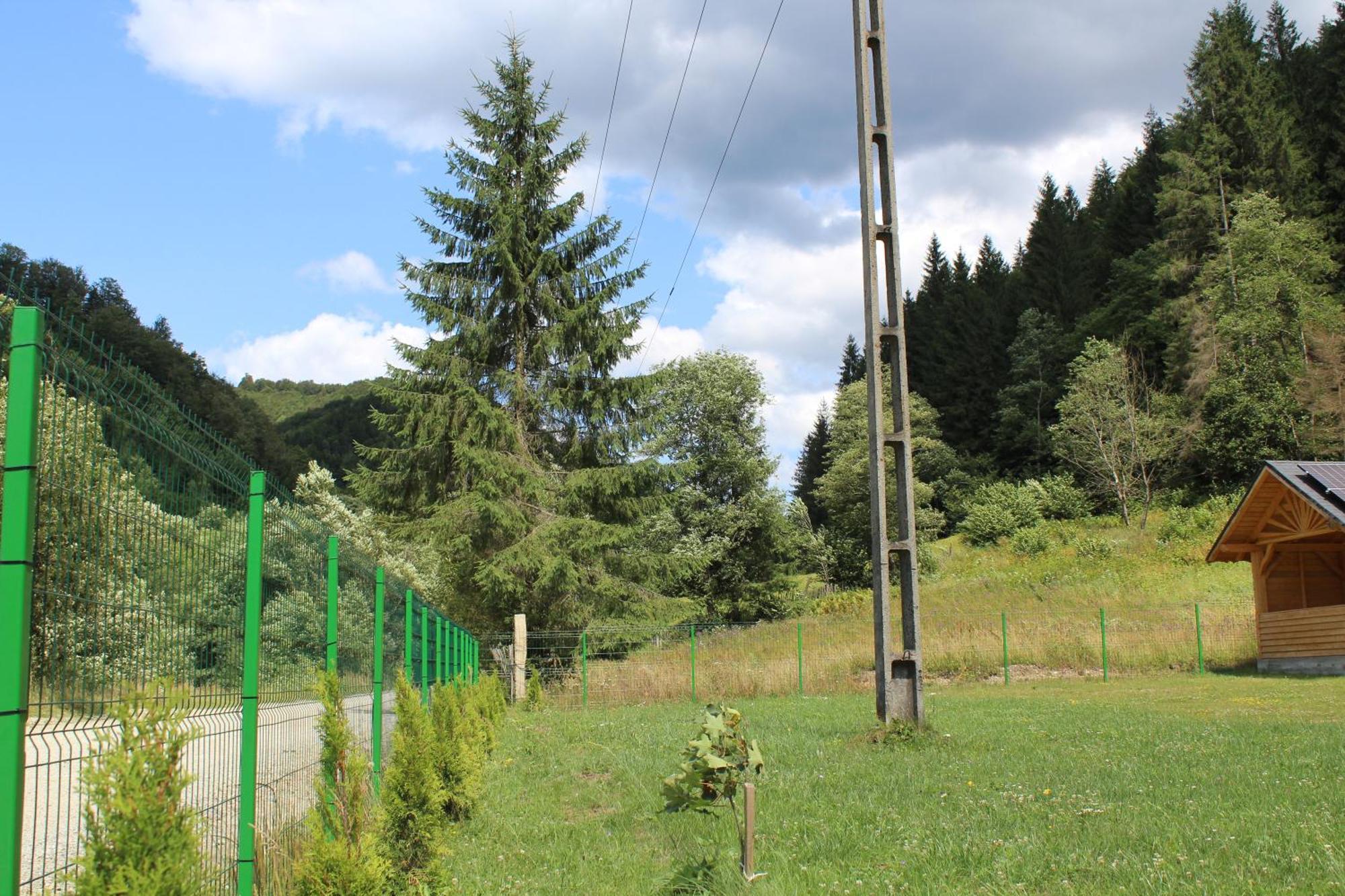 Cabana Laica, Romania Petrila Luaran gambar
