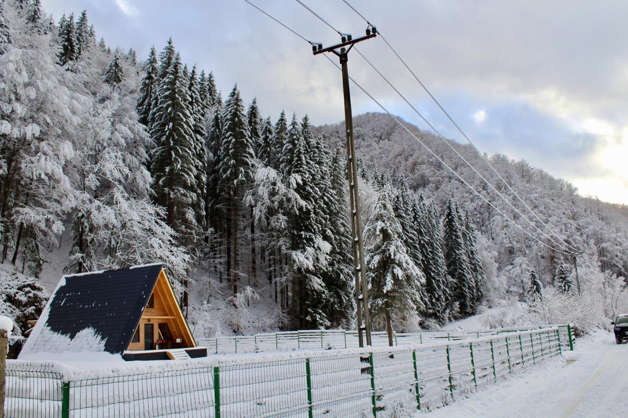 Cabana Laica, Romania Petrila Luaran gambar