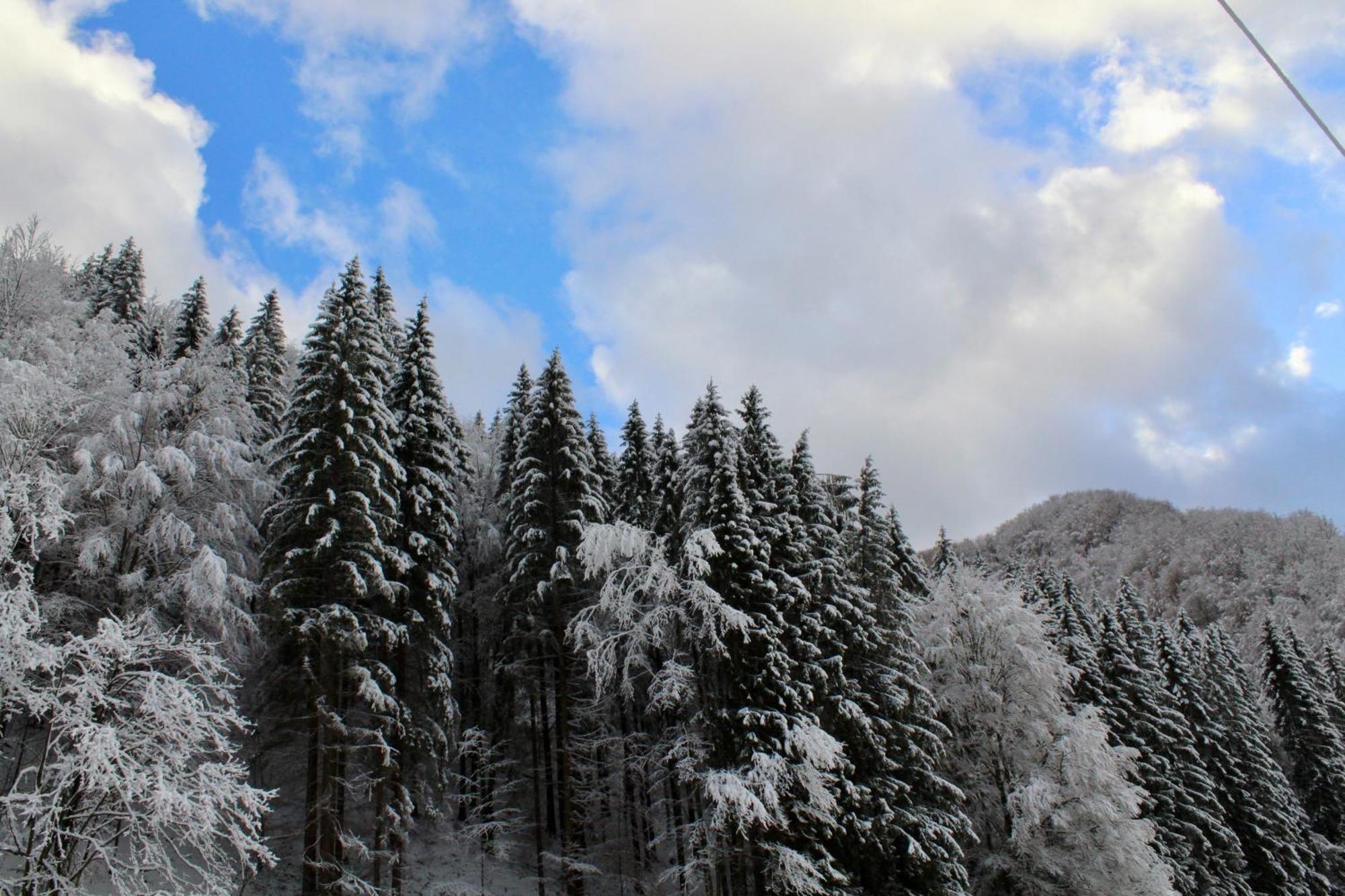 Cabana Laica, Romania Petrila Luaran gambar