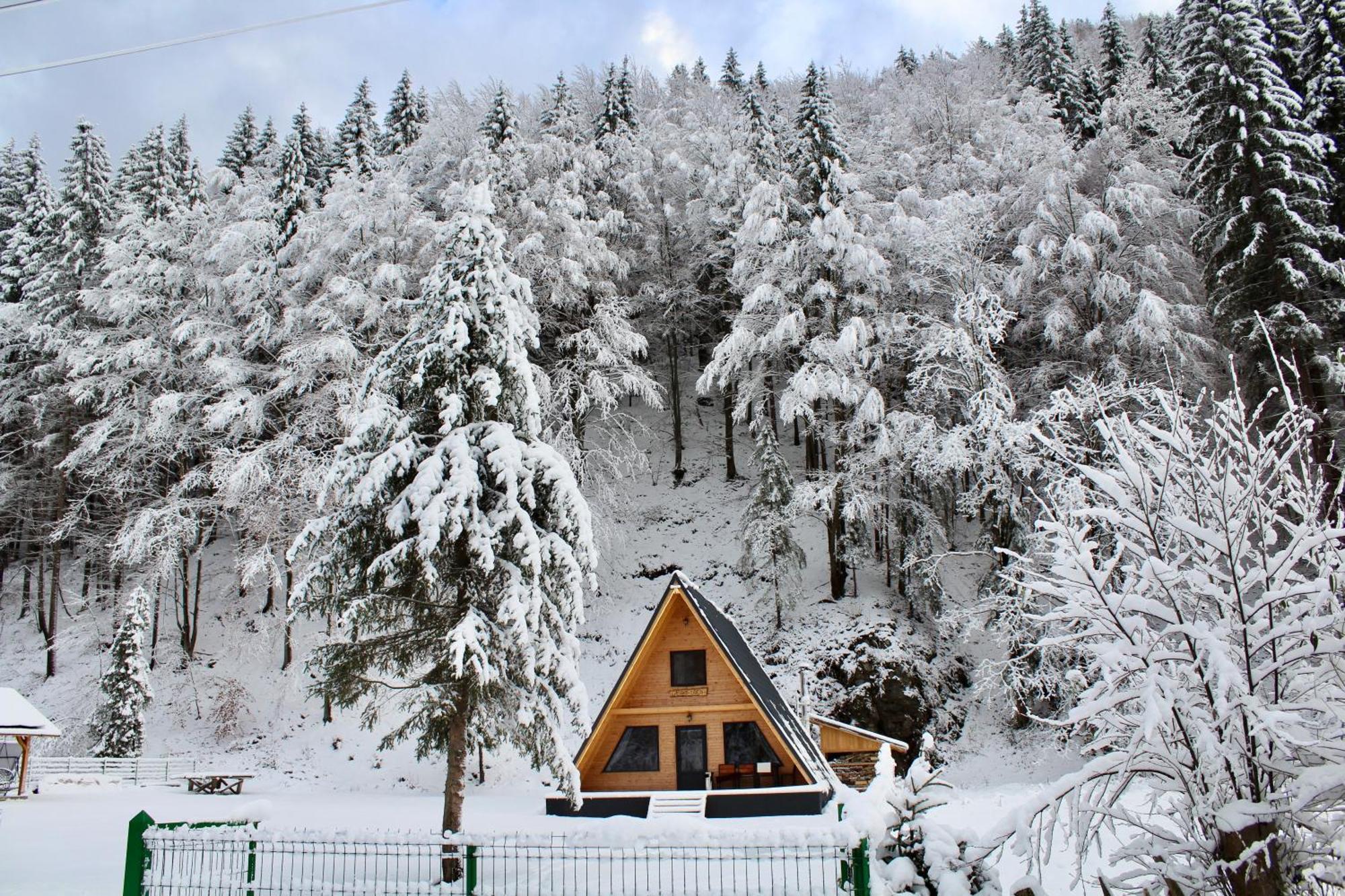 Cabana Laica, Romania Petrila Luaran gambar