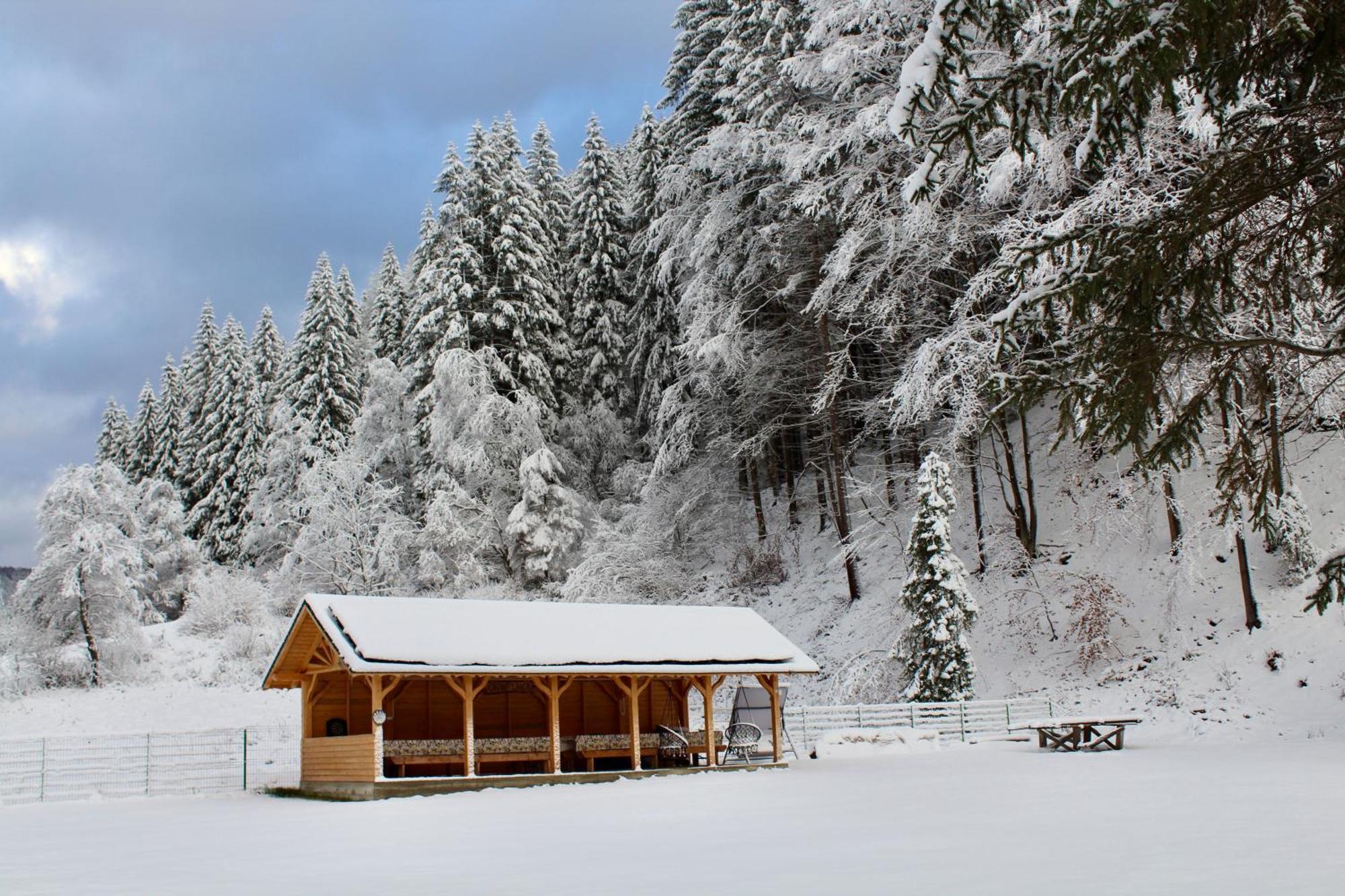 Cabana Laica, Romania Petrila Luaran gambar