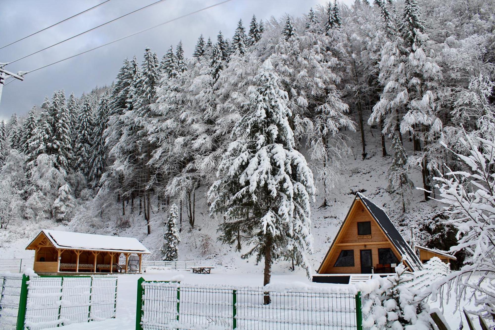 Cabana Laica, Romania Petrila Luaran gambar